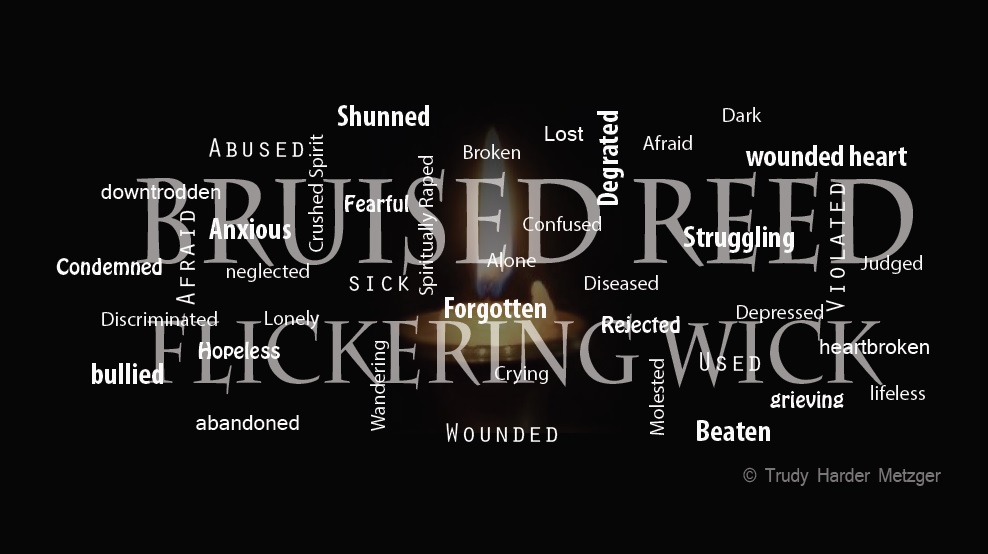 Verse Reed Bruised Reeds | Ants in the Pants of Faith